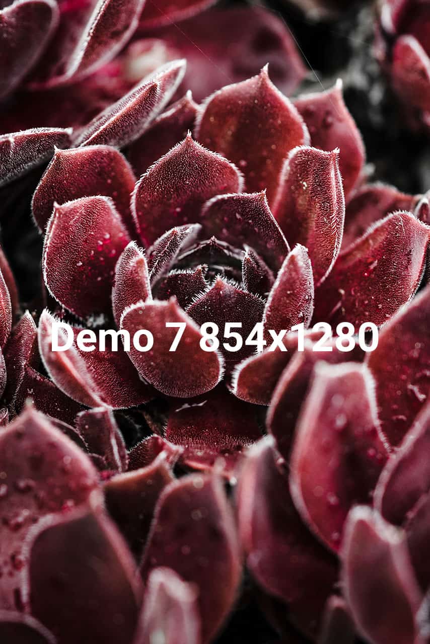 {acf_logos_-_logo_weis_-_bild_alt_text}